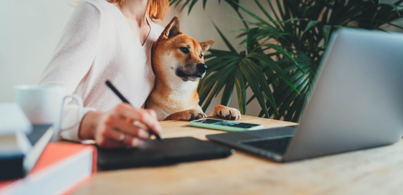 Remote jobs